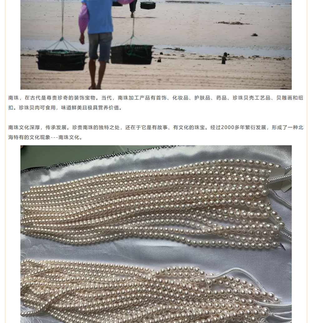 古老南珠，綻放異彩
