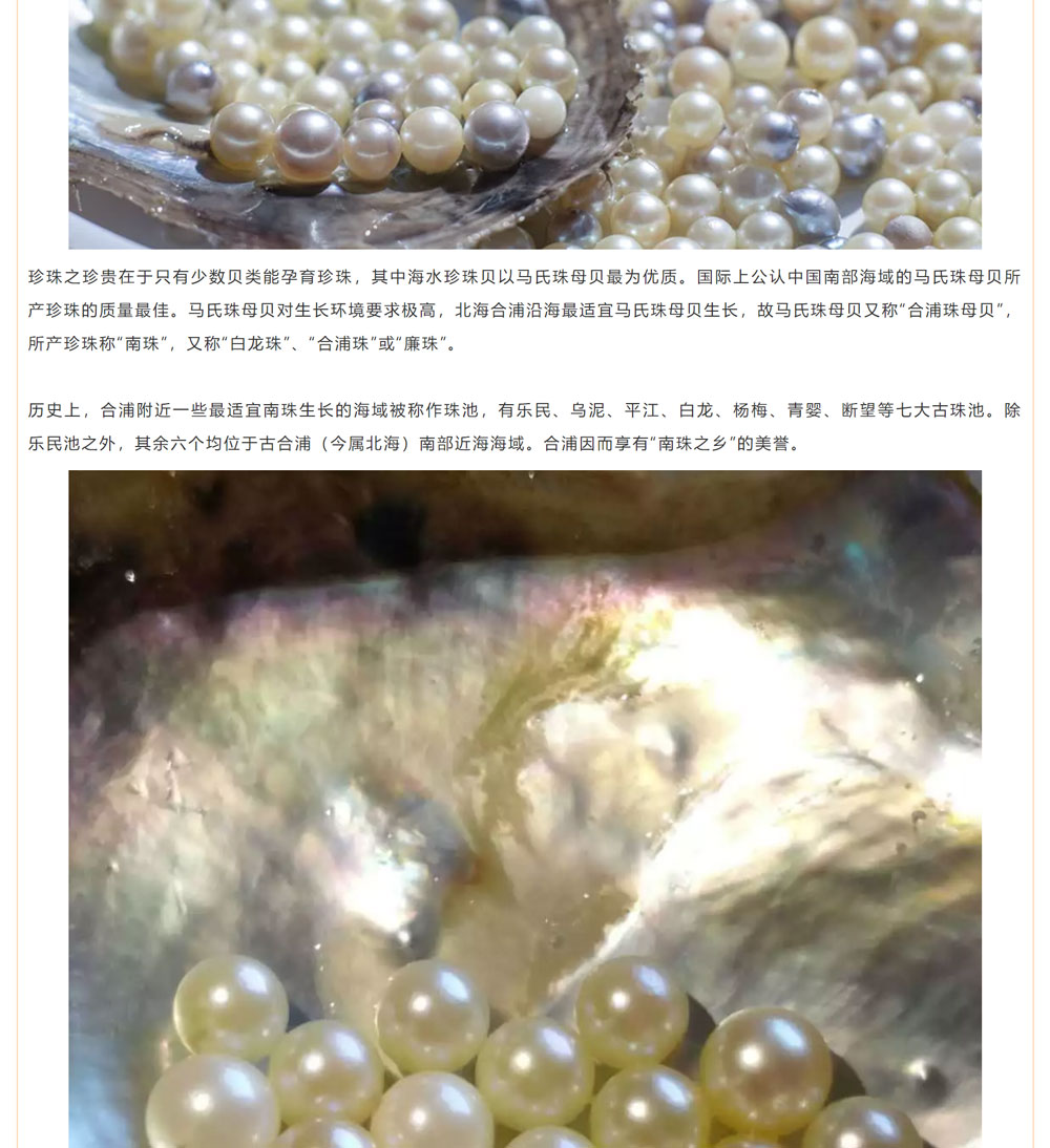 古老南珠，綻放異彩