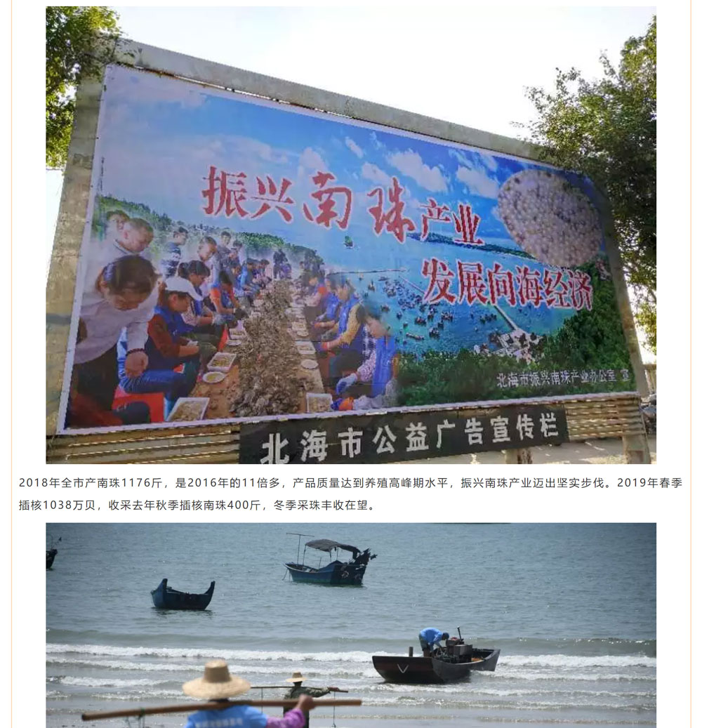 古老南珠，綻放異彩